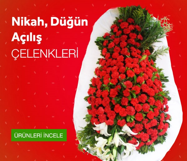 Düğün Nikah Açılış