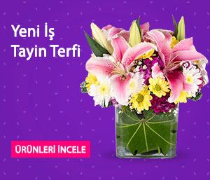 yeni iş Terfi